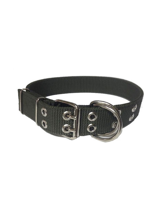 Dog Collar Green