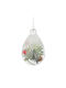 Hanging Ornament Pine Glass Transparent 7x7cm