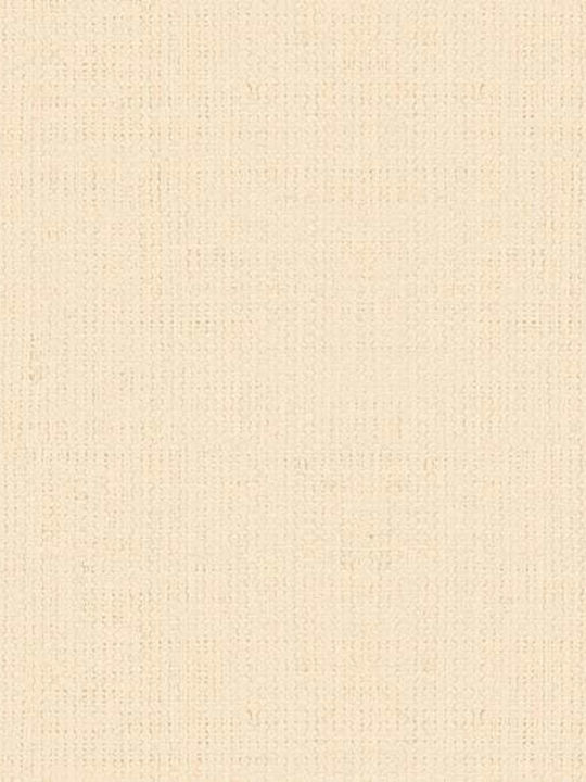 Wallpaper Beige L1005xW53cm