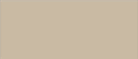 Autocolant Decorativ Perete 1buc 45x200buc Dizas