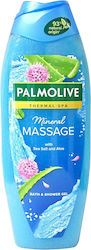 Palmolive Wellness Massage 650ml Palmolive Wellness Massage 650ml