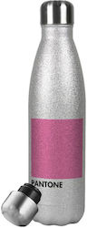 Pantone 500ml Argintiu