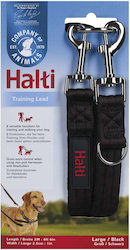 Company of Animals Dog Leash Lead Strap Black Company of Animals Dog Leash Lead Strap Black