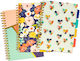 Pukka Spiral Notebook Ruled B5 100 Sheets Multicolour 1pcs