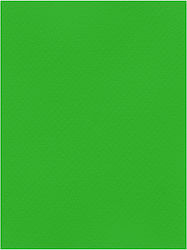 Favini Favini Karton 70x100cm Grün