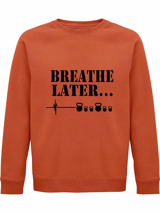 Later Sweatshirt Orange