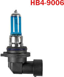 Lamp HB4-9006 Xenon Cold White