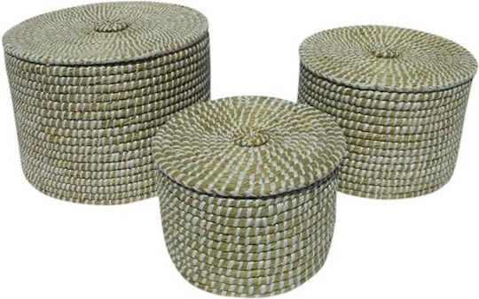 InTheBox Coș De Depozitare Din Paie Cu Capac Bej 35x35x25cm 3 Bucăți