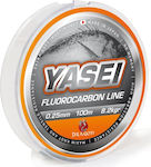 Dragon Fluorocarbon Fishing Line L100m