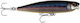 Rapala Precision Xtreme Pencil Saltwater Momeli...