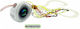 Pregio Artificial Bait Speed Slider, slider Fluorescent 100gr Multicolour