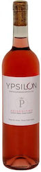Allegrini Rosé Trocken 750ml