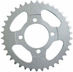 Pinion spate