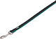 Nobby Dog Leash/Lead Training Strap in Turquoise color