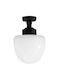 Heronia Outdoor Ceiling Flush Mount E27 in Black Color 11-0289