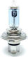 Trifa Lamps Car H4 Halogen 12V 1pcs