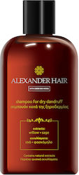 Alexander Hair Σαμπουάν κατά της Ξηροδερμίας 300ml Alexander Hair Σαμπουάν κατά της Ξηροδερμίας 300ml