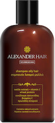 Alexander Hair Σαμπουάν 300ml Alexander Hair Σαμπουάν 300ml