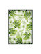 Excelsa Towel from 100% Cotton 70x50cm
