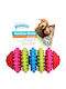 Pawise Rainbow World Toy Dog made of Rubber Medium 1pcs