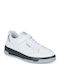 Ανδρικά Sneakers Μπεζ