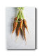 Walls Carrots Pattern Canvas Painting 40x50cm