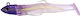 Hunthouse Jelly Series LW216 Artificial Bait 90...