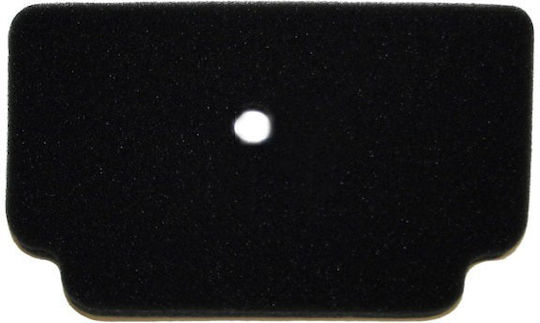 Motorrad-Luftfilter Kawasaki ZX 130 Modenas X-CITE