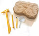 Educational Insights Κιτ Ανασκαφής Απολιθωμάτων STEM Joc Educațional Excavare de dinozauri pentru 3+ ani Ani