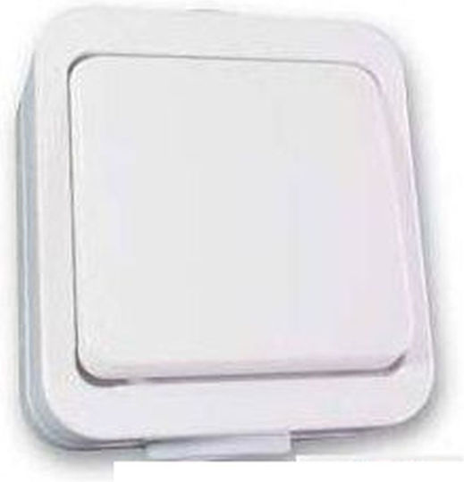 Bassiakos Waterproof Recessed Wall Switch One-Way With White Frame