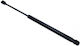 Magneti Marelli Αμορτισέρ Πορτ Μπαγκάζ για Mini Cabrio Volkswagen Beetle (New)