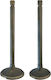 Modenas Motorcycle Intake Valve Modenas Kriss