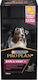 Purina Pro Plan Skin & Coat+ Συμπλήρωμα Διατροφής Σκύλου σε Έλαιο 250ml