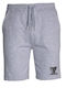Men's Athletic Shorts Gray