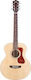 Guild Semi-Akustik Gitarre F-250E Bersten