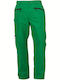 Ziener Bengt Men's Trousers for Ski & Snowboard Green