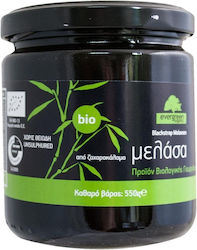 Evergreen Molasses Bio 550gr