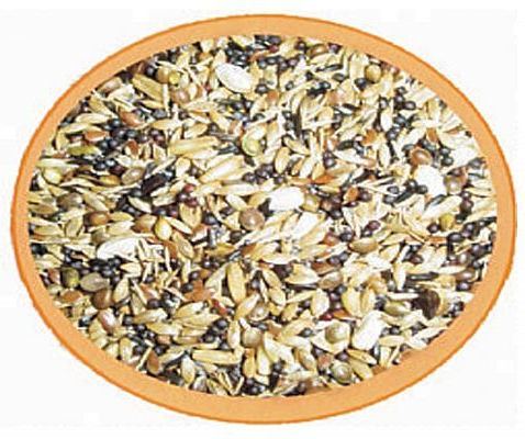 Professional Mix Professional Mix Futter für Stieglitze 20kg