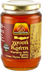 Synergasia Goldene Kreta Thymian Honig 900g Synergasia Goldene Kreta Thymian Honig 900g