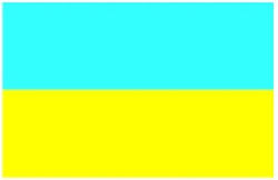 Flagge der Ukraine 40x27cm