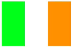 Flag of Ireland 100x70cm