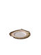 Stylepoint Teller Untiefe Keramik Beige mit Durchmesser 26.5cm