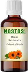 Nostos Pure Βάμμα Καλέντουλα Calendula 30ml