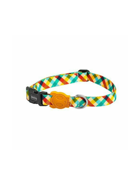 Dog Collar Small Multicolour