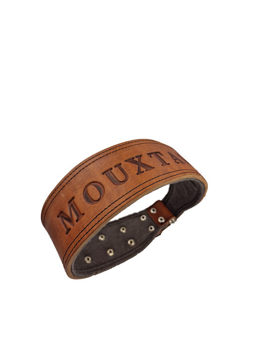 ByLeather Hundehalsband Leder in Braun Farbe Klein 70cm