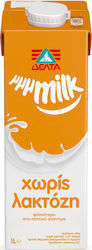Delta mmmmilk Lactose Free Milk Drink 1lt