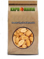 Karpomania Peanuts Peanuts Roasted Salted 1000gr K- 8896 -a