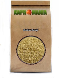 Karpomania Mustard Seed K- 11781 -a 600gr