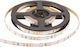 Adeleq LED Strip 24V Cold White Light 5m Type SMD2835