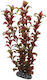 Hobby Rotala Aquarium Ornament Artificial Plant HO41518